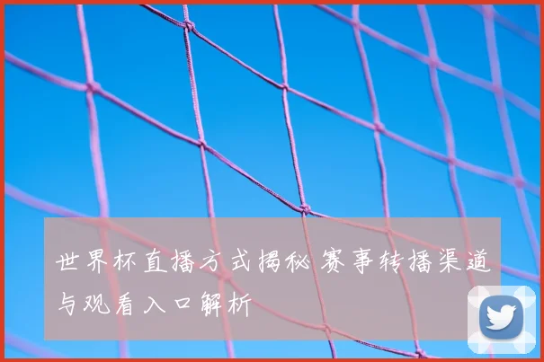 世界杯直播方式揭秘 赛事转播渠道与观看入口解析