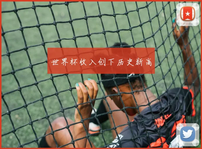 世界杯收入创下历史新高