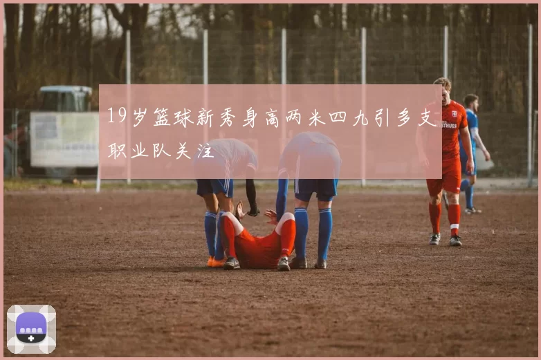 19岁篮球新秀身高两米四九引多支职业队关注