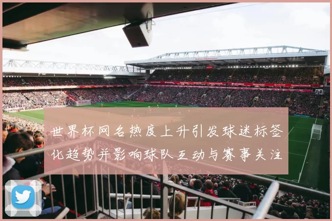 世界杯网名热度上升引发球迷标签化趋势并影响球队互动与赛事关注