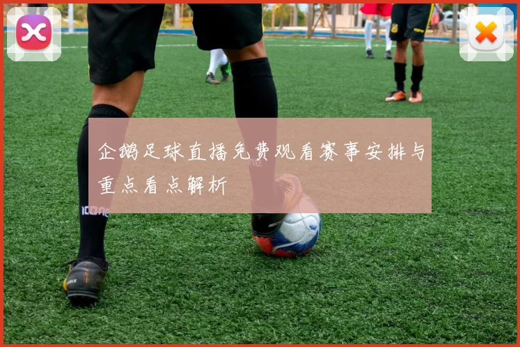 企鹅足球直播免费观看赛事安排与重点看点解析
