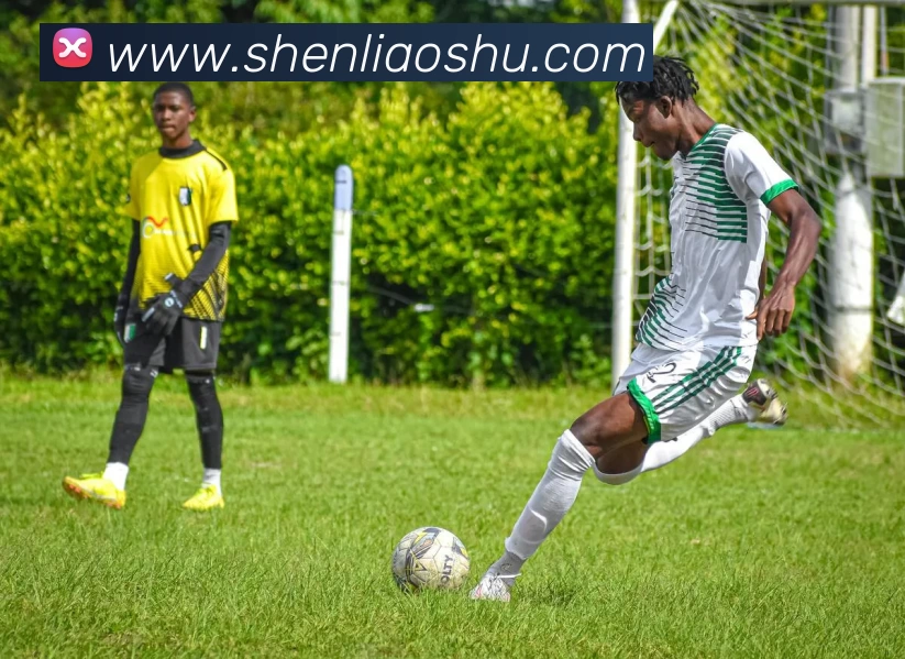 辅助工具 辅助工具